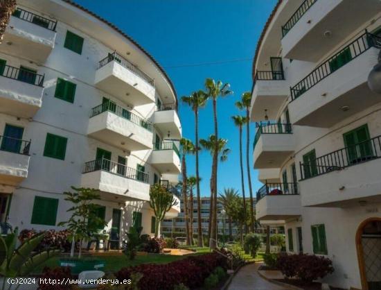 Venta de apartamento en Av. Tenerife, Playa del Ingles. complejo  LAS FAULAS  - LAS PALMAS