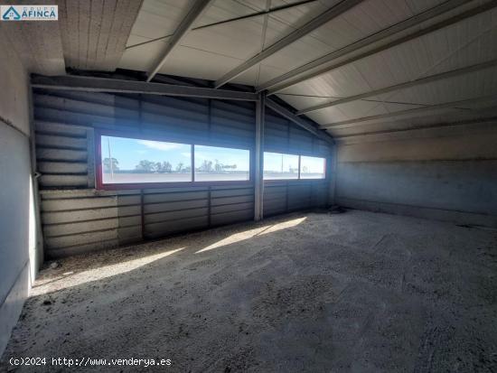 NAVE EN VENTA EN POLÍGONO INDUSTRIAL LA DEHESA - HUELVA