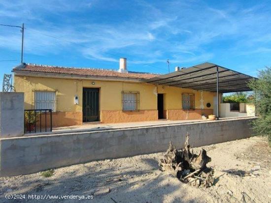 CASA DE HUERTA LEGALIZADA sobre finca de limoneros de 3.900m2 - MURCIA