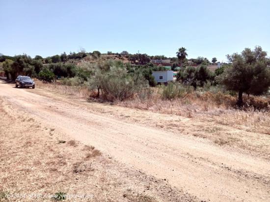 PARCELA EN URBANIZACIÓN SAN BENITO ABAD, CASTIBLANCO DE LOS ARROYOS, SEVILLA. - SEVILLA