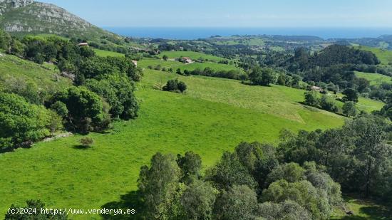 Se Vende en Ribadesella - ASTURIAS