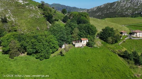 Se Vende en Ribadesella - ASTURIAS