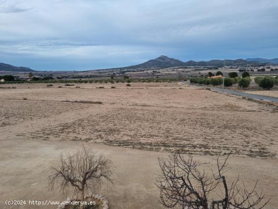  SE VENDEN PARCELAS PARA CONSTRUIR EN SALINAS (ALICANTE) SPAIN - ALICANTE 