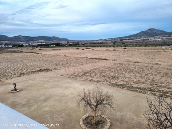 SE VENDEN PARCELAS PARA CONSTRUIR EN SALINAS (ALICANTE) SPAIN - ALICANTE