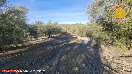 Finca rustica en venta en Purchil - GRANADA