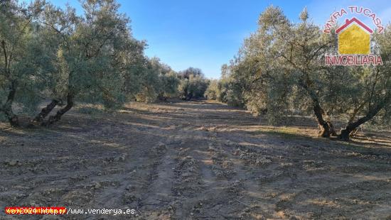 Finca rustica en venta en Purchil - GRANADA