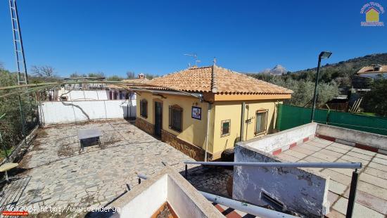 Finca en Güevéjar, AGUA potable y luz eléctrica y DOS pozos, piscina, cultivo de olivos. - GRANAD