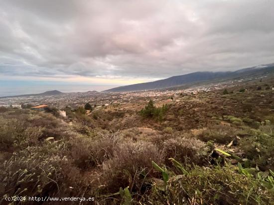  VENTA DE FINCA RÚSTICA DE 3419 MT² EN ARAFO - SANTA CRUZ DE TENERIFE 