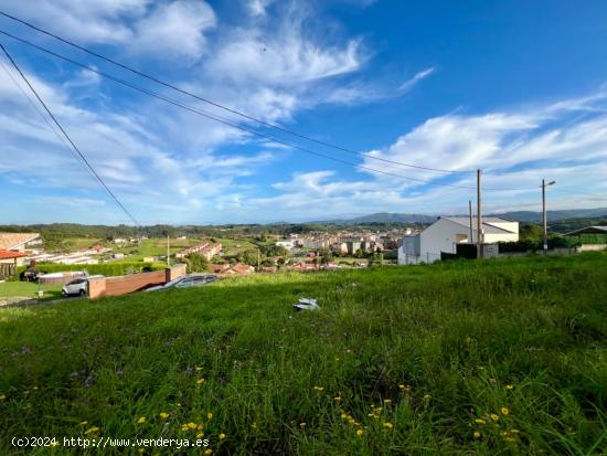  PARCELA EDIFICABLE ARANCES - ASTURIAS 