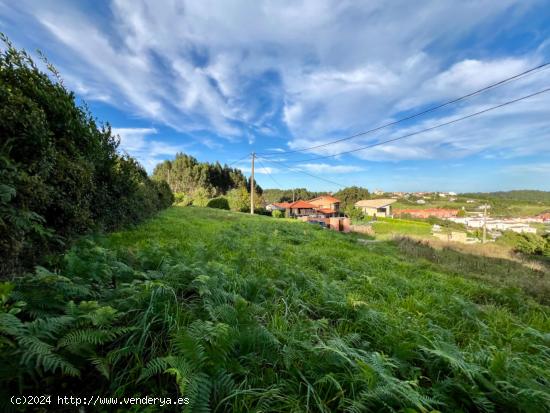 PARCELA EDIFICABLE ARANCES - ASTURIAS