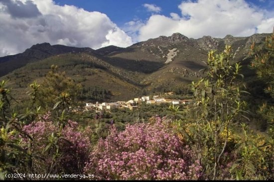  Casa de pueblo en Venta en Cabezo Cáceres 