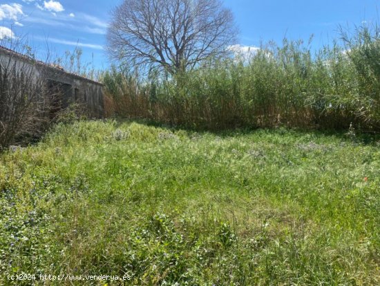 Estupenda finca para rehabilitar a menos de 1km de Tortosa