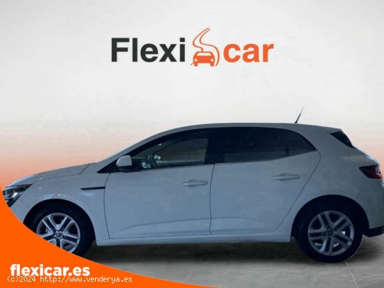 Renault Megane Business TCe 85 kW (115CV) GPF - Sevilla