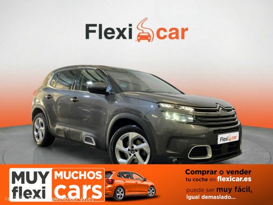  Citroën C5 Aircross BlueHdi 96kW (130CV) S&S Live Pack - Vigo 