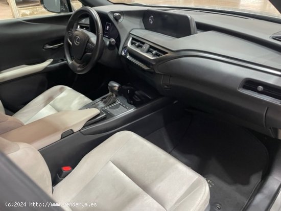 Lexus UX 2.0 250h Business - Ferrol