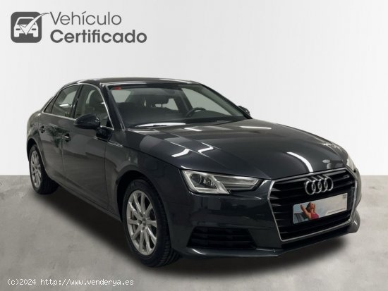 Audi A4 2.0 TDI Advance 150 c.v  -Automatico- - Córdoba