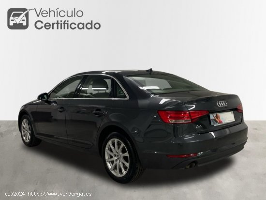 Audi A4 2.0 TDI Advance 150 c.v  -Automatico- - Córdoba