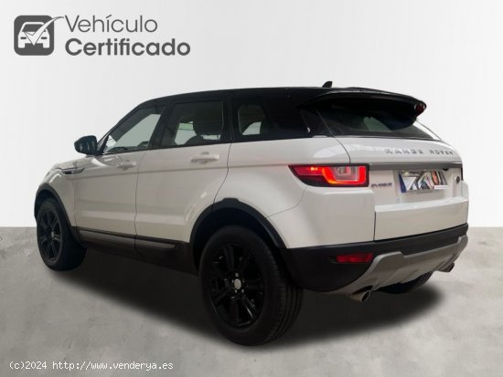 Land-Rover Range Rover Evoque 2.0d 150cv SE - Córdoba