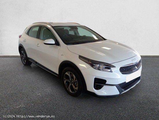 Kia XCeed 1.0 T-GDi Drive 88kW (120CV) CASA WHITE - València