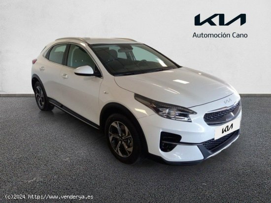  Kia XCeed 1.0 T-GDi Drive 88kW (120CV) CASA WHITE - València 