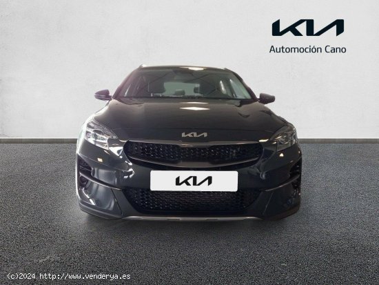 Kia XCeed 1.0 T-GDi Drive 88kW (120CV) DARK PENTA METAL - València