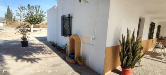 SE VENDE CASA DE CAMPO, CON 3 NAVES, ZONA PARTIDA DEL BOCH !!!! - ALICANTE