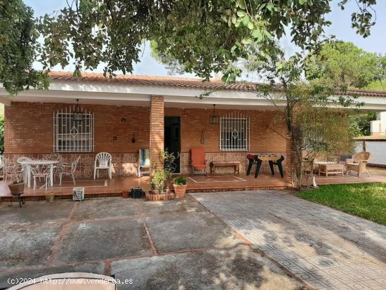 ESTUPENDA CASA CON PISCINA PROPIA EN ZONA DE ASSUAN. CÓRDOBA. - CORDOBA