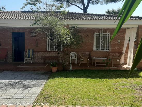 ESTUPENDA CASA CON PISCINA PROPIA EN ZONA DE ASSUAN. CÓRDOBA. - CORDOBA