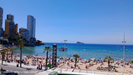 Lujoso piso con 4 dormitorios en 1 Línea playa Levante con vistas maravillosas al mar. - ALICANTE