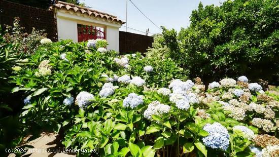 Casa con terreno y piscina en La Laguna de Valleseco - LAS PALMAS