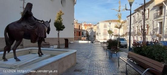 EN SERÓN  ( ALMERÍA ) CASA DE 10 HABITACIONES. - ALMERIA