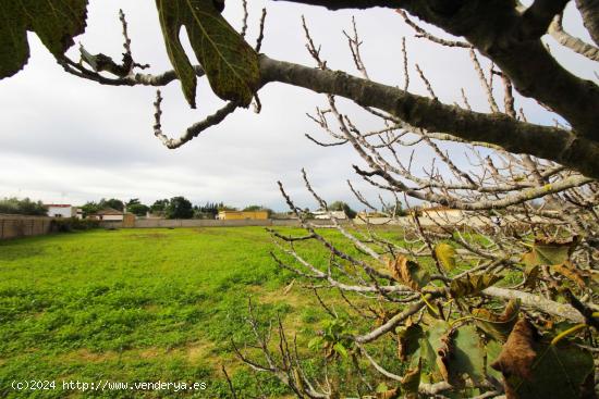 CASA DE CAMPO EN EL MARQUESADO CON PARCELA SEGREGADA DE 4800 M² - CADIZ