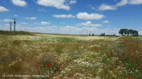 Urbis te ofrece una parcela en venta en Galindo y Perahuy, Salamanca. - SALAMANCA