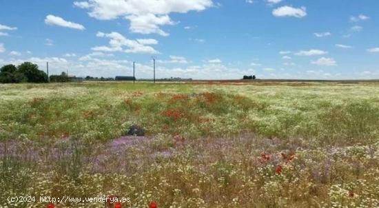 Urbis te ofrece una parcela en venta en Galindo y Perahuy, Salamanca. - SALAMANCA