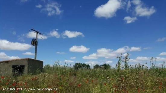 Urbis te ofrece una parcela en venta en Galindo y Perahuy, Salamanca. - SALAMANCA