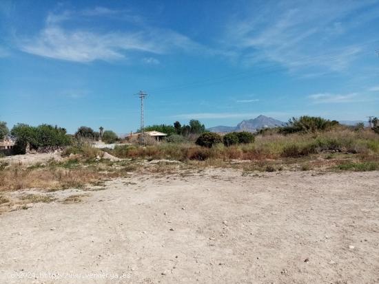  SOLARES DE SUELO RÚSTICO EN MUCHAMIEL Y SAN JUAN DE ALICANTE - ALICANTE 