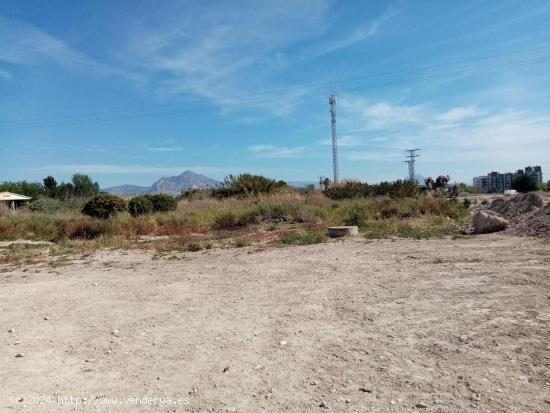 SOLARES DE SUELO RÚSTICO EN MUCHAMIEL Y SAN JUAN DE ALICANTE - ALICANTE