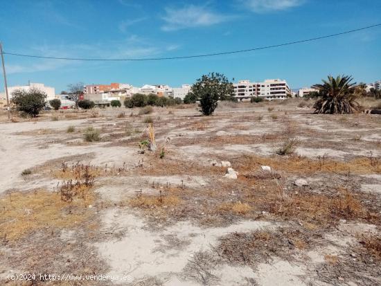 SOLARES DE SUELO RÚSTICO EN MUCHAMIEL Y SAN JUAN DE ALICANTE - ALICANTE