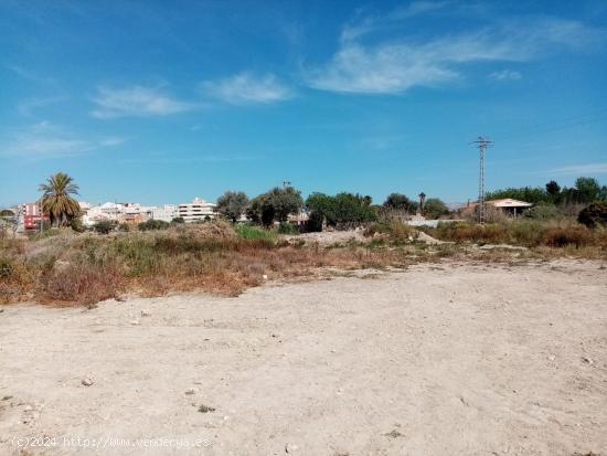 SOLARES DE SUELO RÚSTICO EN MUCHAMIEL Y SAN JUAN DE ALICANTE - ALICANTE