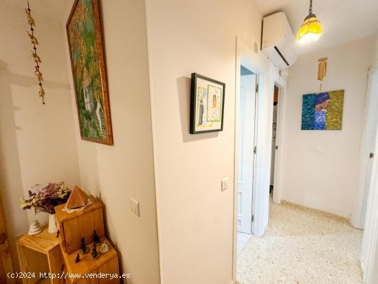 Amplio piso en venta con patio privado - MALAGA