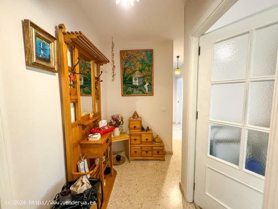 Amplio piso en venta con patio privado - MALAGA