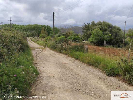  SOLAR EN VENTA EN TORRE DE CANYAMEL - BALEARES 