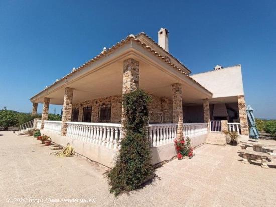 FINCA RUSTICA EN SAN MIGUEL DE SALINAS - ALICANTE