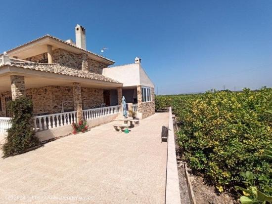 FINCA RUSTICA EN SAN MIGUEL DE SALINAS - ALICANTE