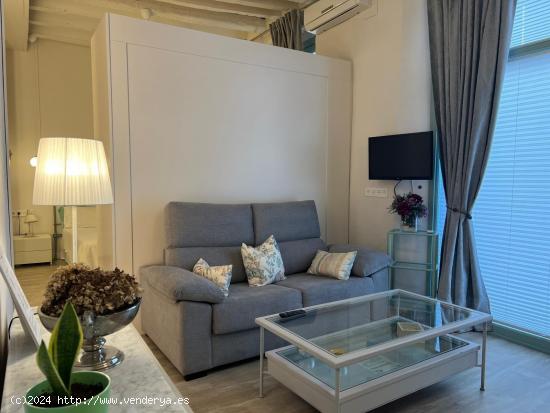  Apartamento en Centro de Granada. Puente de Castañeda. - GRANADA 