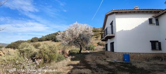 Impresionante casa de Campo ideal para turismo rural. - GRANADA