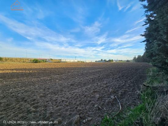 VENTA DE FINCA EN HUMANES DE MADRID - MADRID