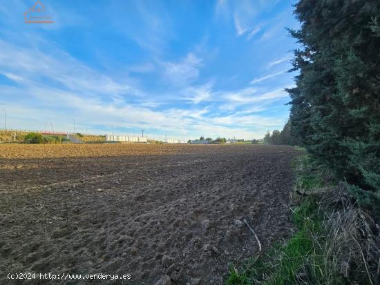 VENTA DE FINCA EN HUMANES DE MADRID - MADRID