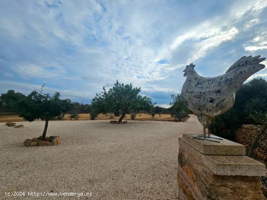 Finca rústica completamente reformada moderna y práctica. - BALEARES