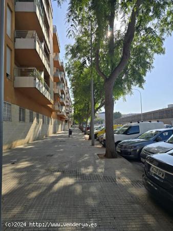 OPORTUNIDAD PISO OCIMAX - BALEARES